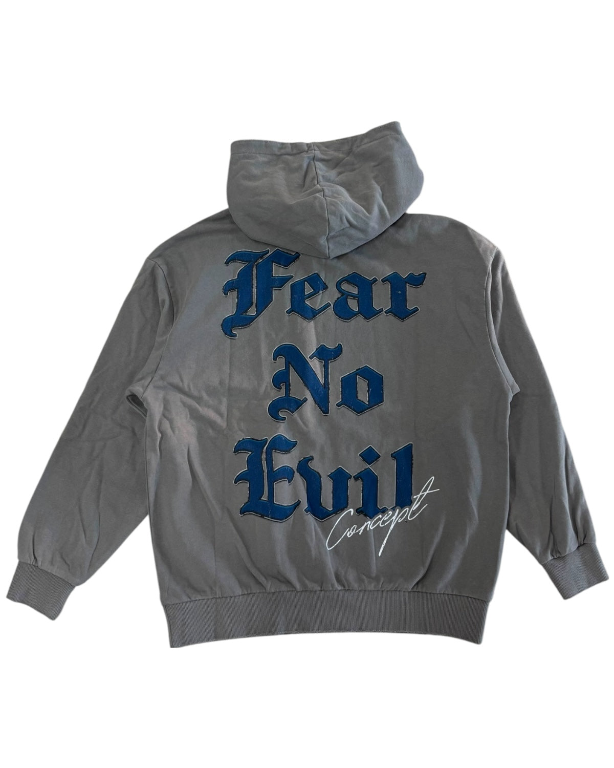 Gray hoodie with 'Fear No Evil' text on the back against a white background