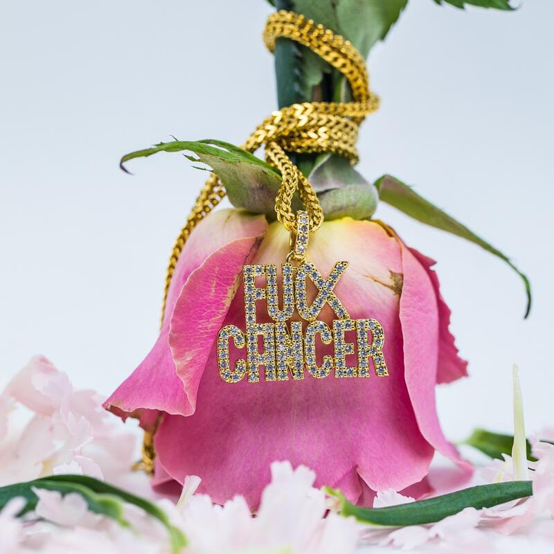 Pink rose with 'F**K CANCER' NECKLACE on a light background