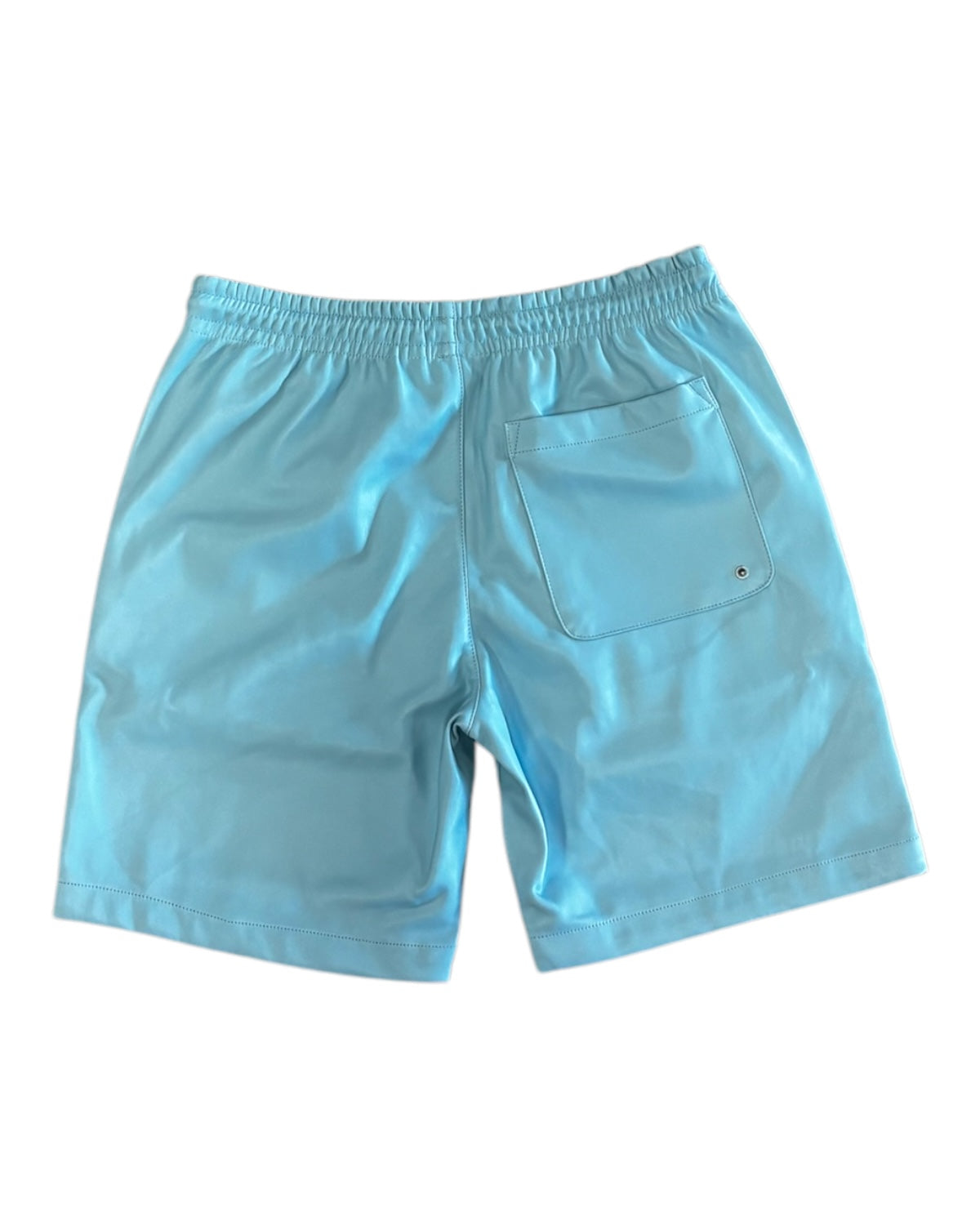Jordan Craig see you in paradise PU leather shorts in sky blue for men