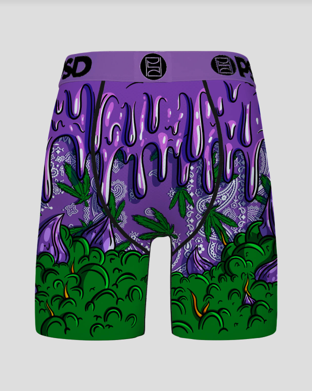 Purple and green BRIEFS with a paisley design on a white background