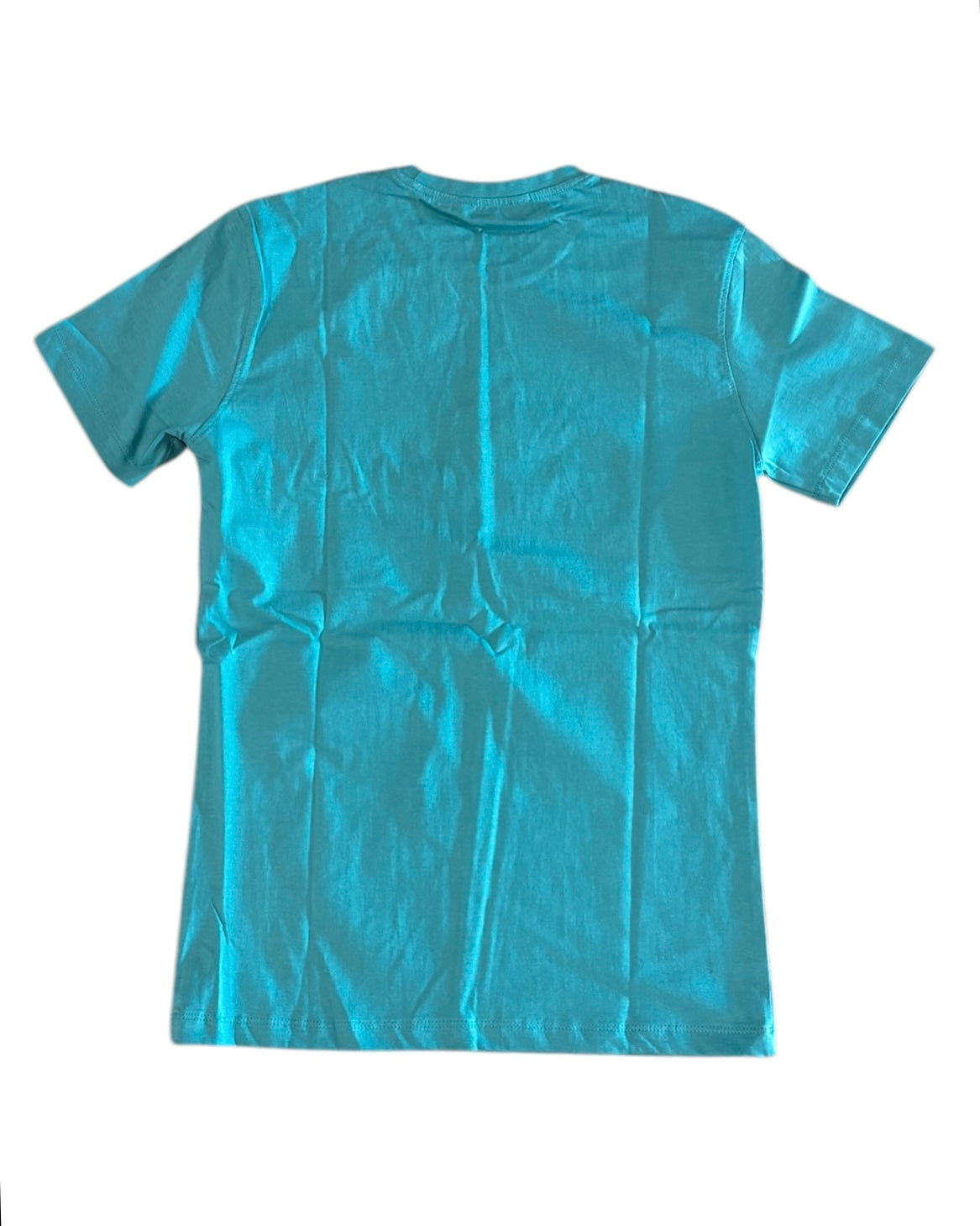 Jordan Craig see you in paradise tee in teal