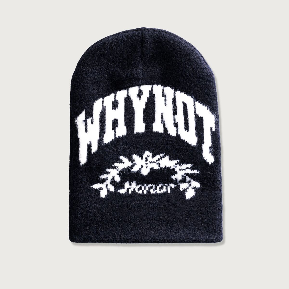 Why Not Beanie