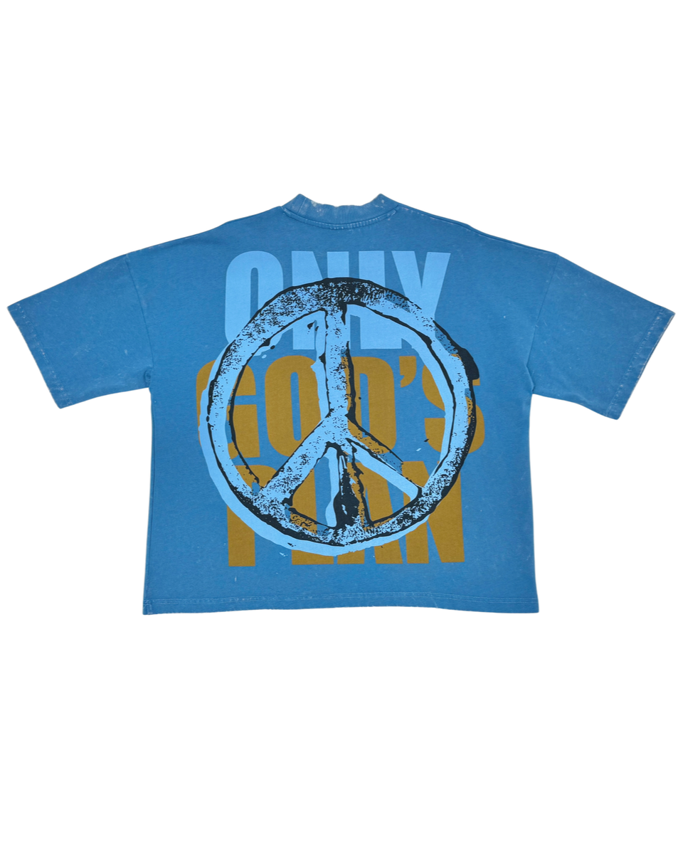 Stray gods man crop tee in blue