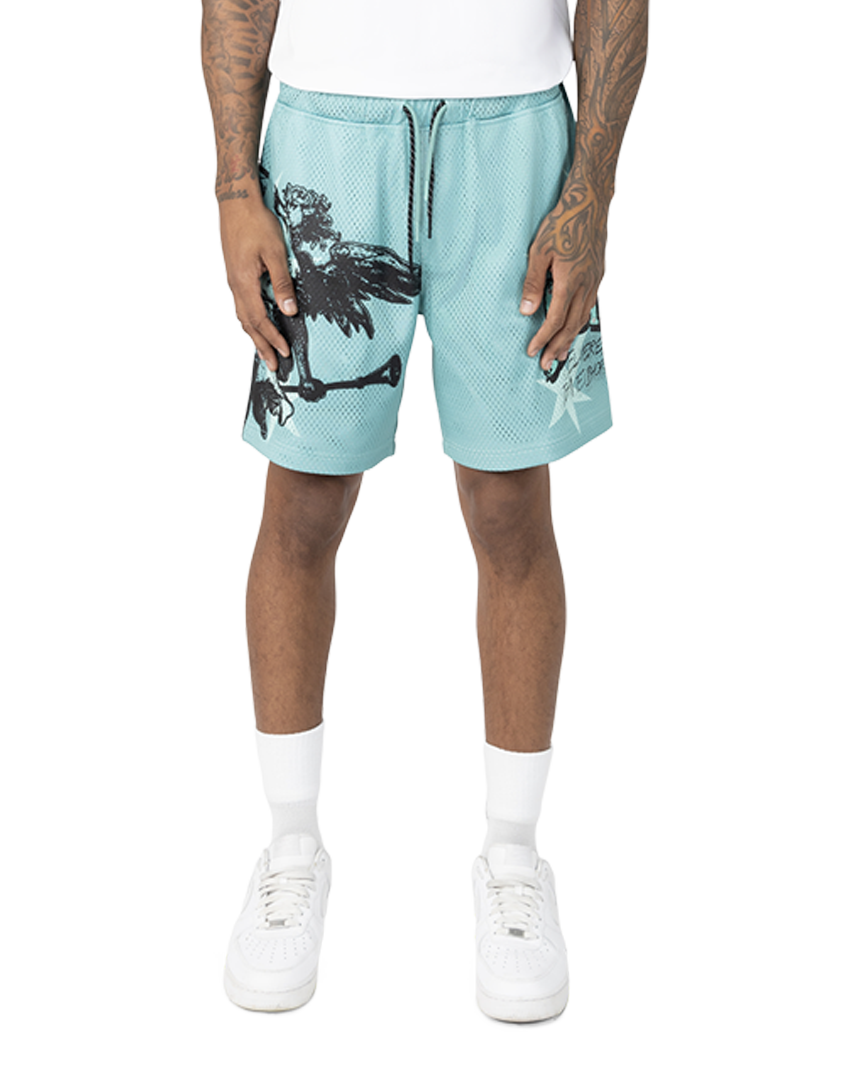 Smoke rise kingdom mesh shorts in ice green