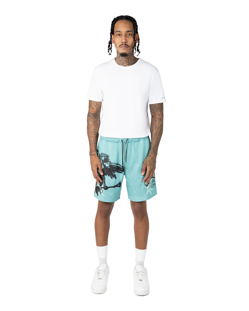 Smoke rise kingdom mesh shorts in ice green
