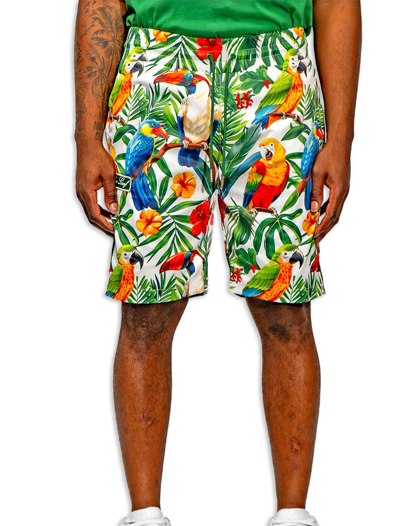 Blac leaf tropical vibes shorts in green