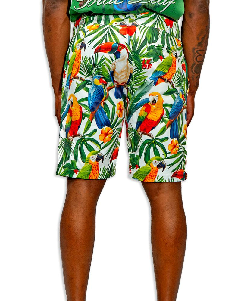 Blac leaf tropical vibes shorts in green