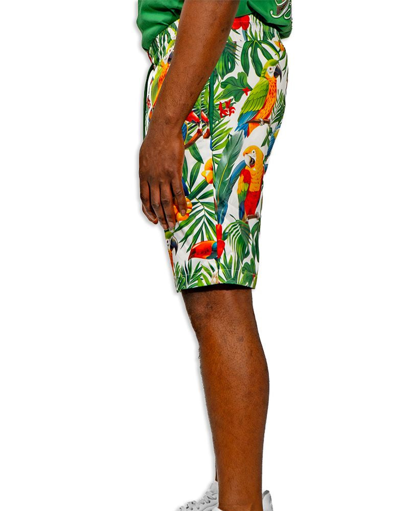 Blac leaf tropical vibes shorts in green