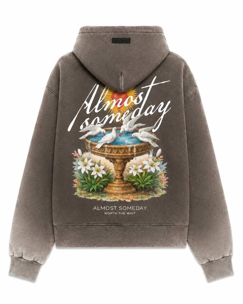 Almost Someday Fountain Full-Zip Hoodie