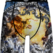 Boxer briefs with classical painting design on a white background