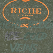 Riche Worldwide logo with decorative elements on a textured green background