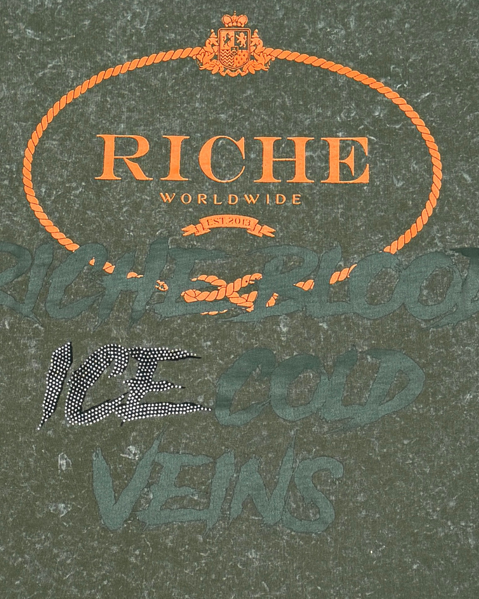 Riche Worldwide logo with decorative elements on a textured green background