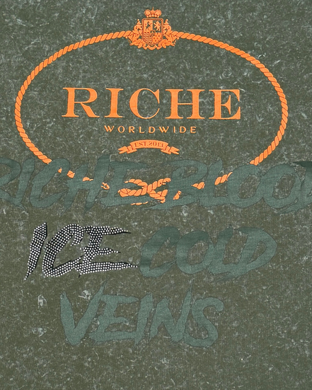 Riche Worldwide logo with decorative elements on a textured green background