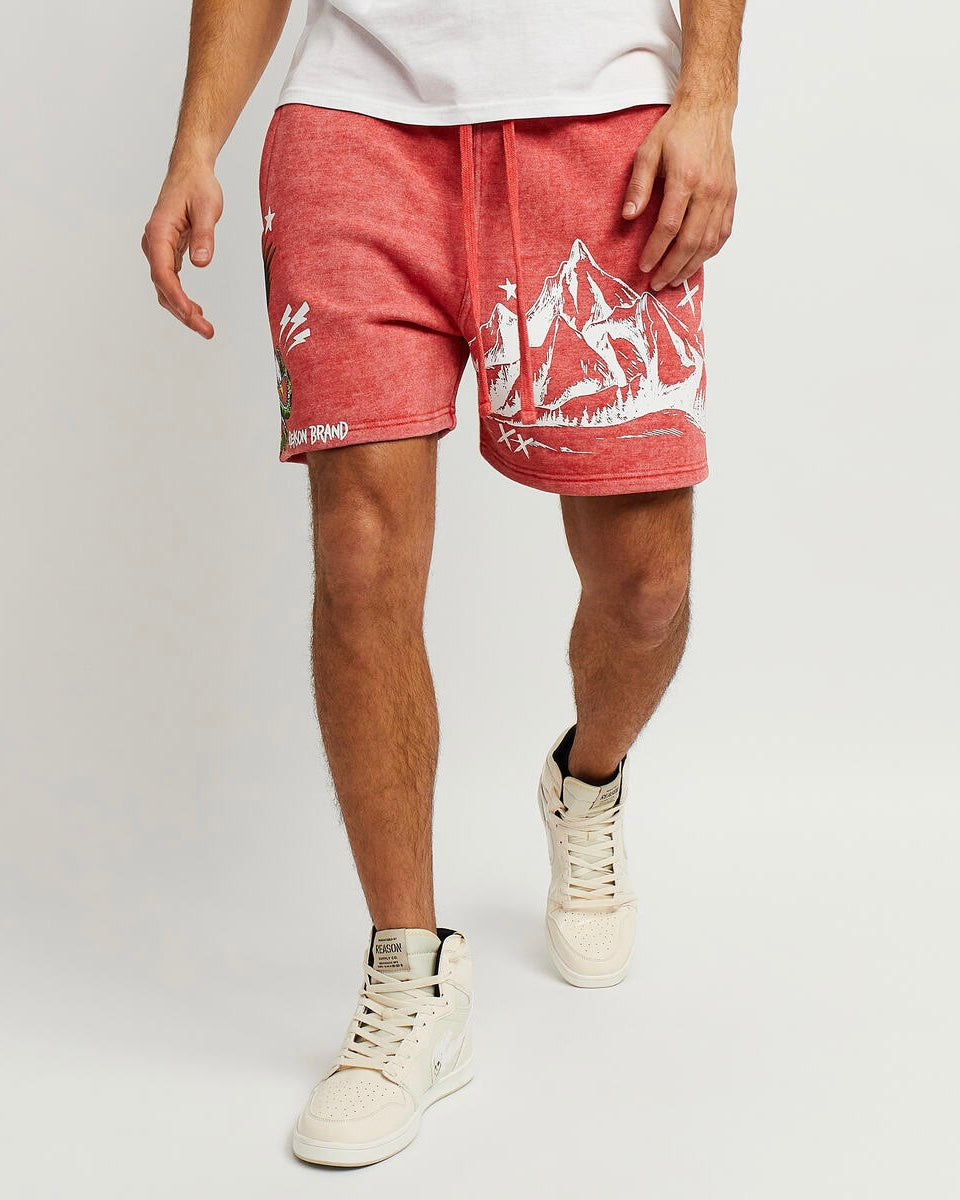 All We Trust Washed Shorts