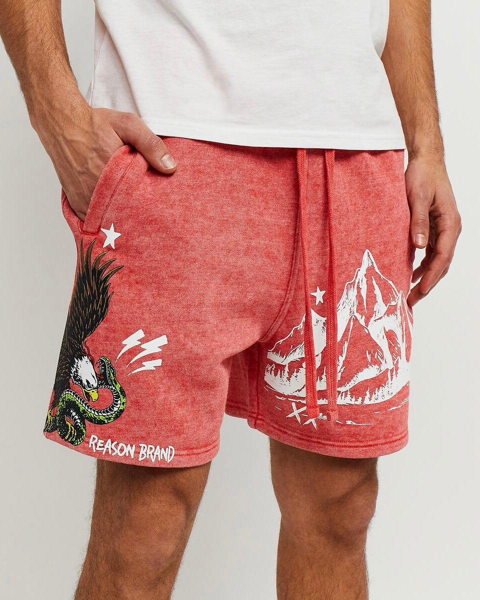 All We Trust Washed Shorts