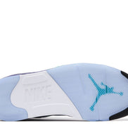 Jordan 5 Retro Grape (2025) Men's