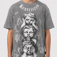 Child wearing a gray t-shirt with angel graphic and 'Restricted' text on a white background