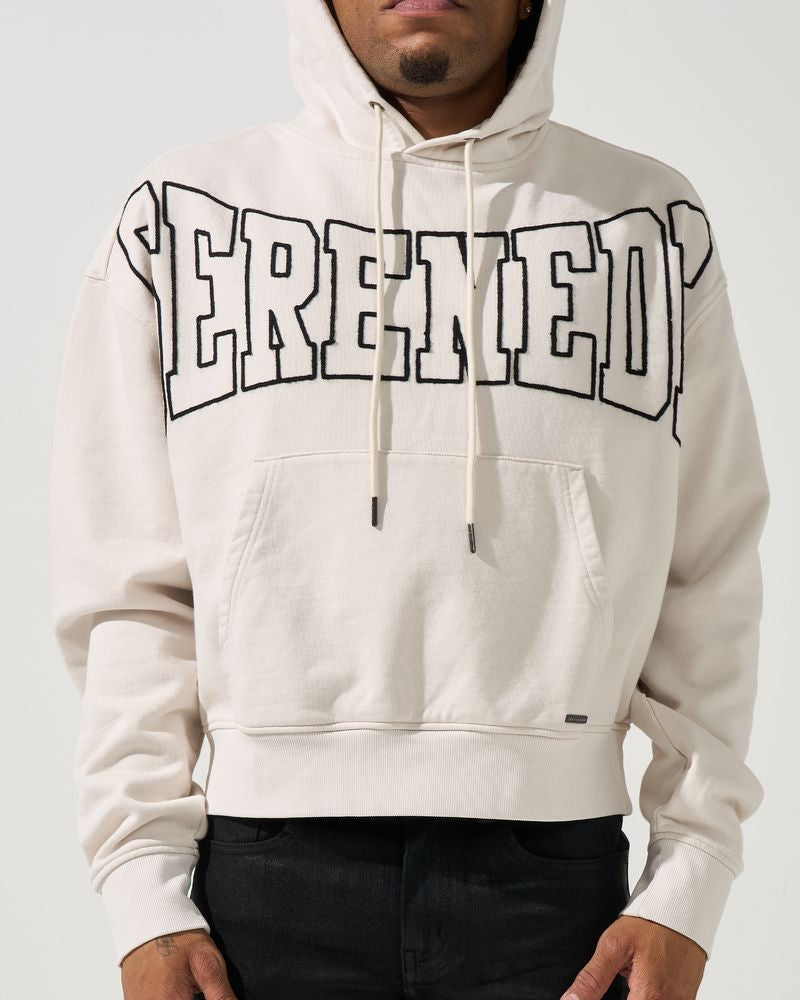 Person wearing a ivory hoodie with 'STEREOTYPE' text on a plain background