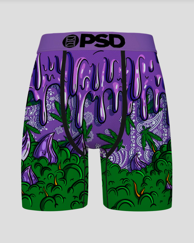 Purple and green BRIEFS with a paisley design on a gray background
