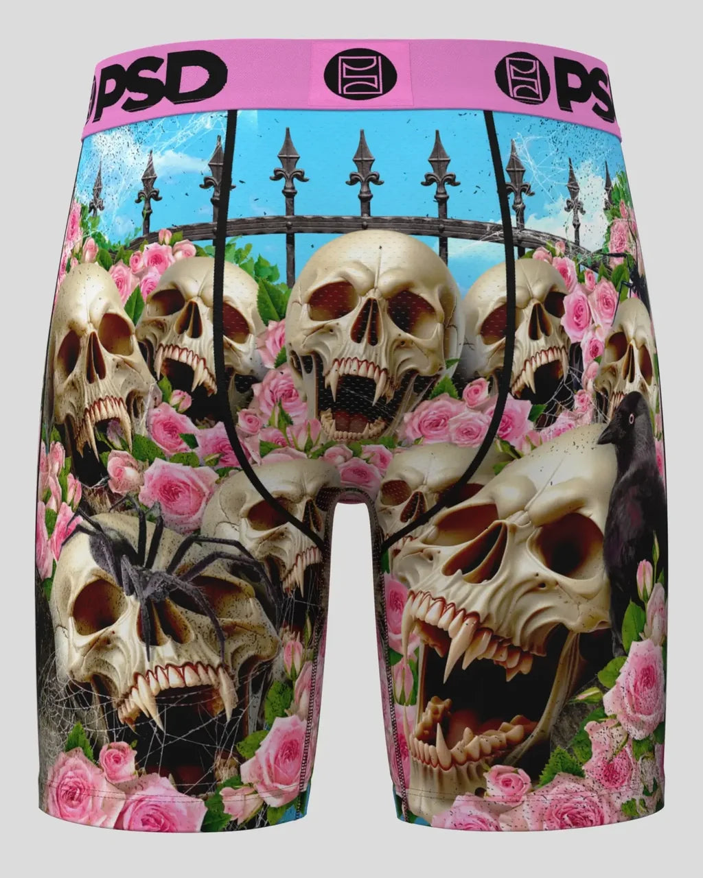PSD Skull Gardens Briefs