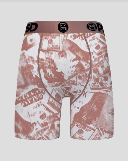 Boxer briefs with a money-themed print on a white background