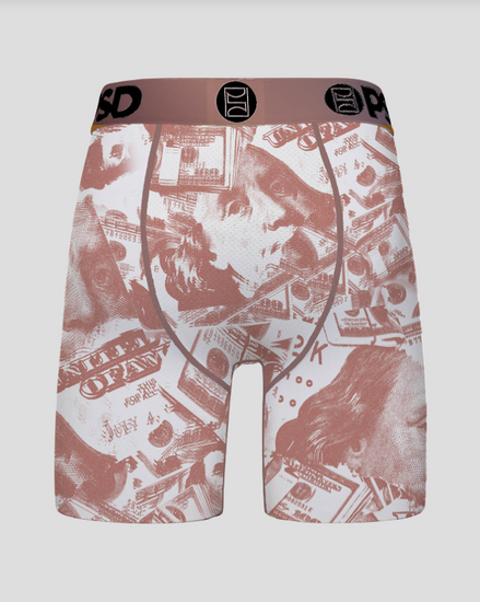 Boxer briefs with a money-themed print on a white background