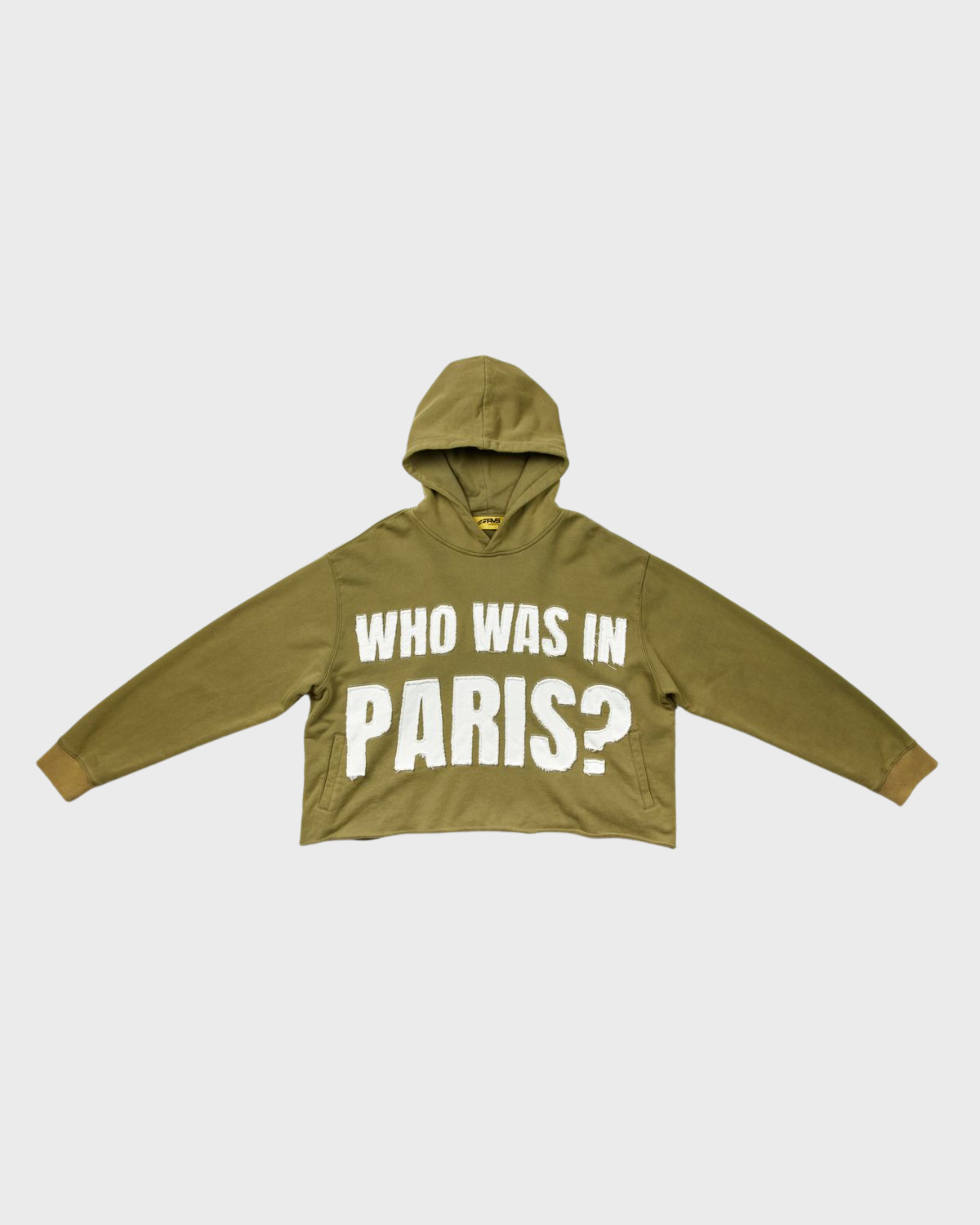 RVS Labs who was in Paris hoodie in olive