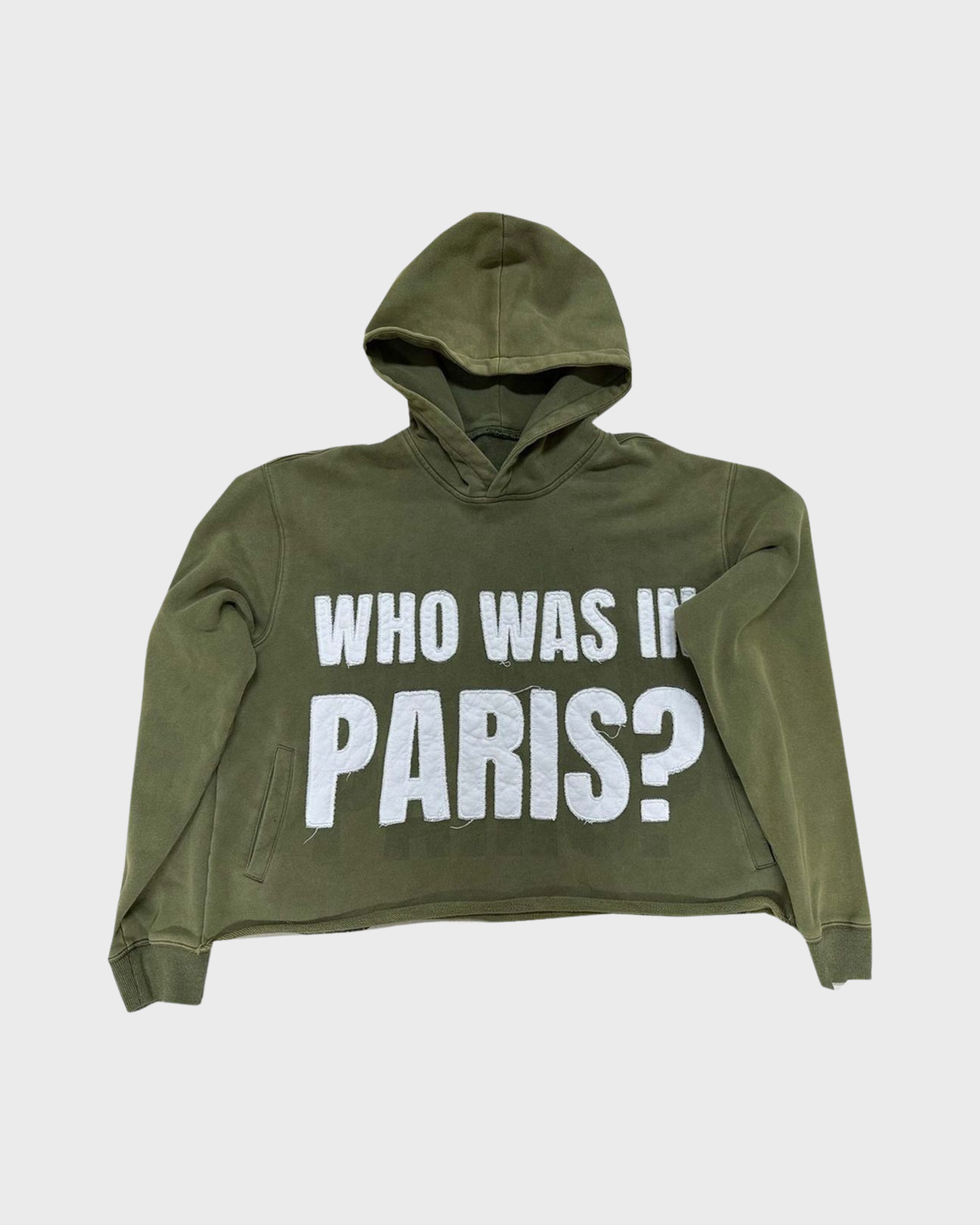 RVS labs who was in Paris hoodie in olive green