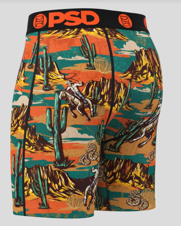 Colorful boxer briefs with a desert landscape design and 'PSD' branding.