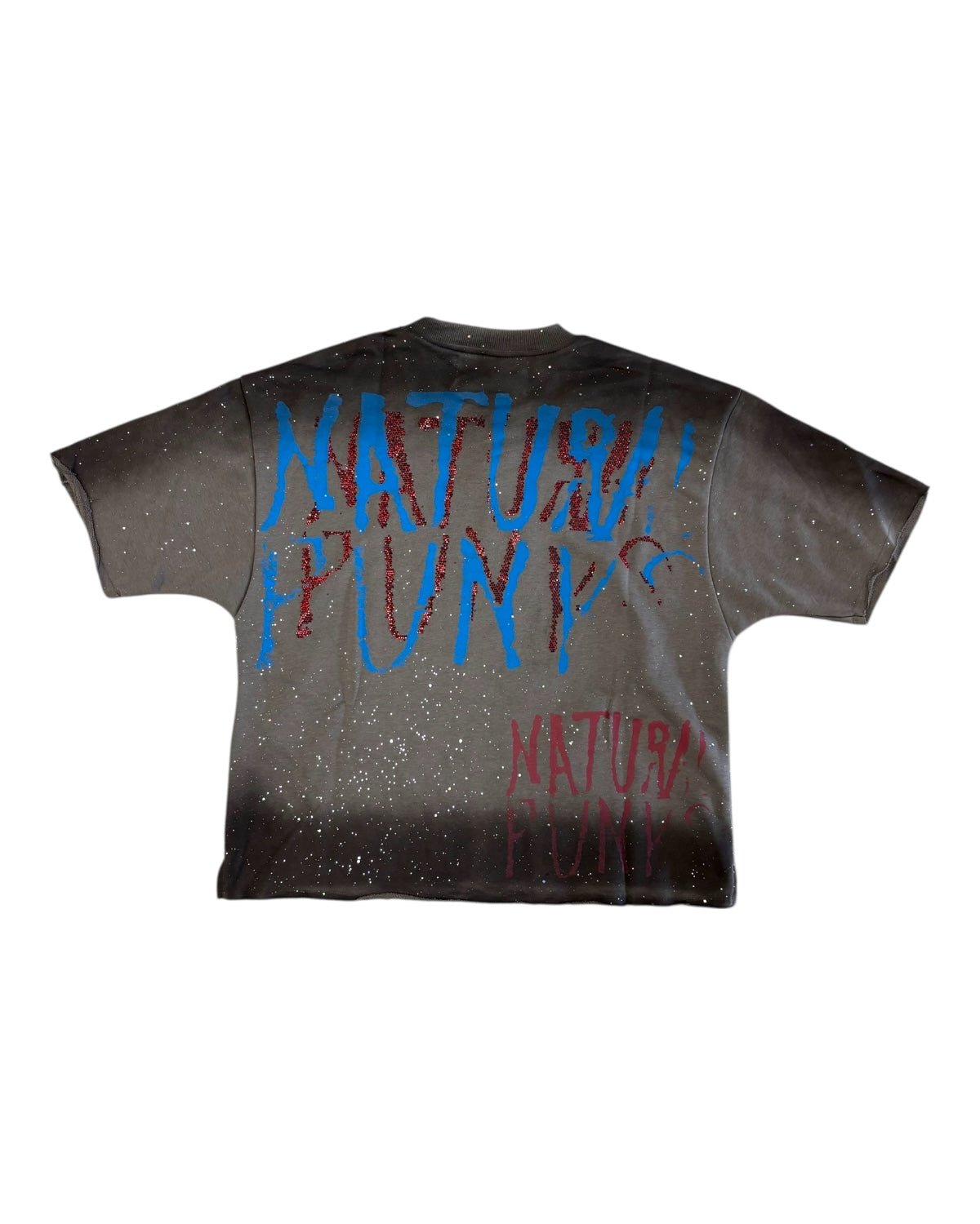 Bkys no fear crop tee in grey 