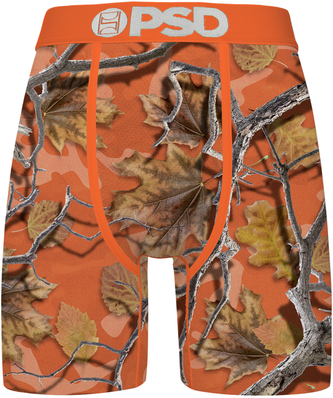 PSD Fire Trail Briefs