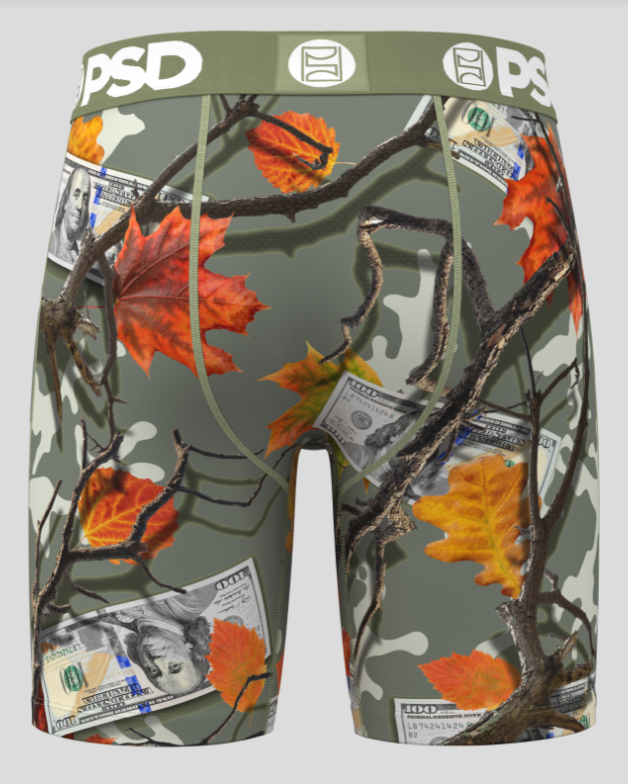 WF Celadone Briefs