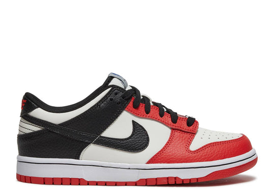 Nike Dunks Low EMB Chicago (GS)